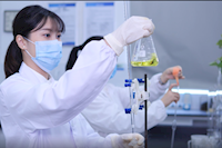巾幗不讓須眉，她們獲省級巾幗文明崗榮譽